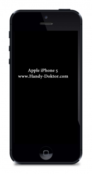 Apple iPhone 5 Kamera (8MP) Reparatur Service