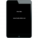 iPad Mini Display Reparatur Service